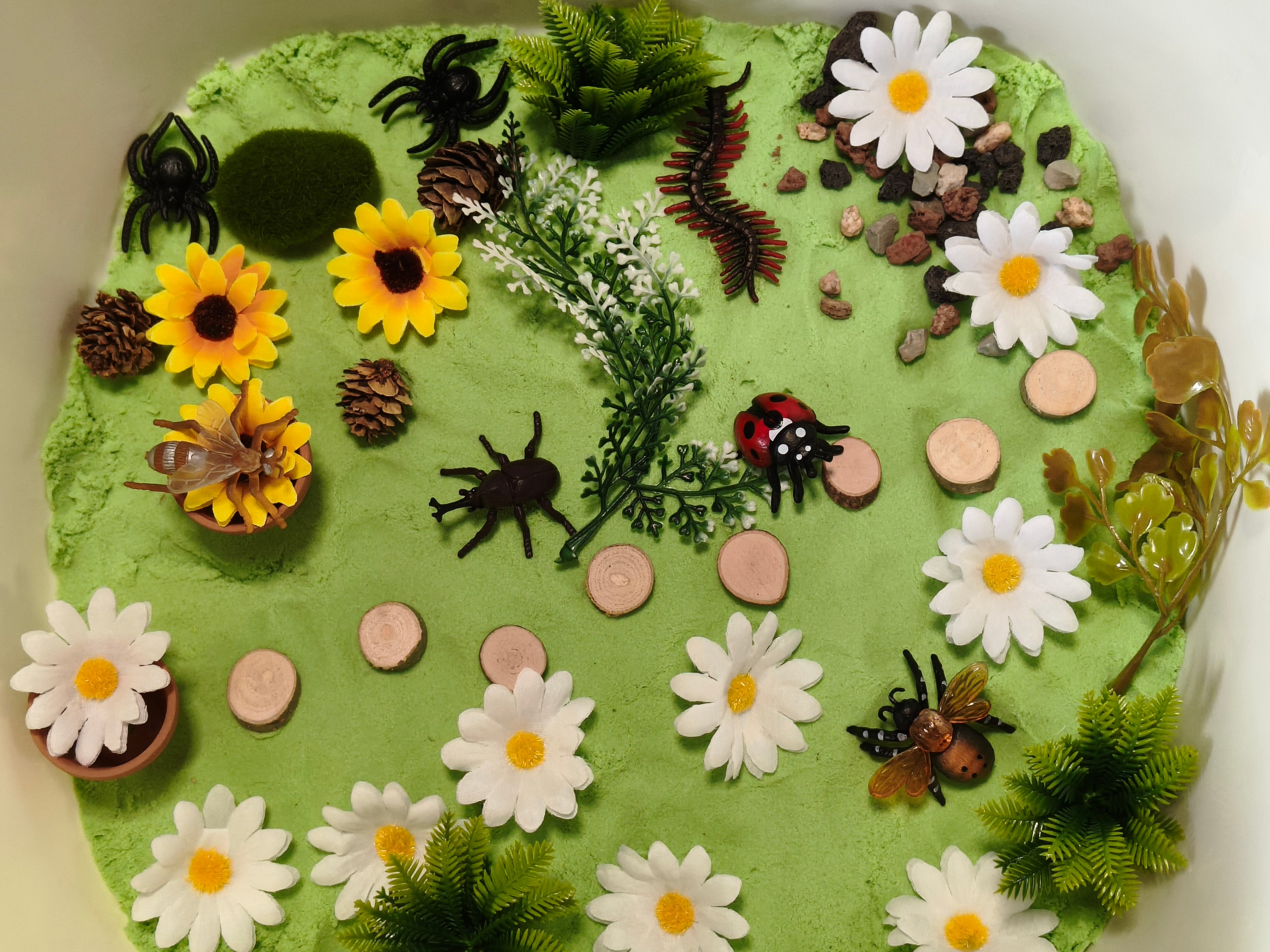 Tuff Tray Kit - Bug Garden