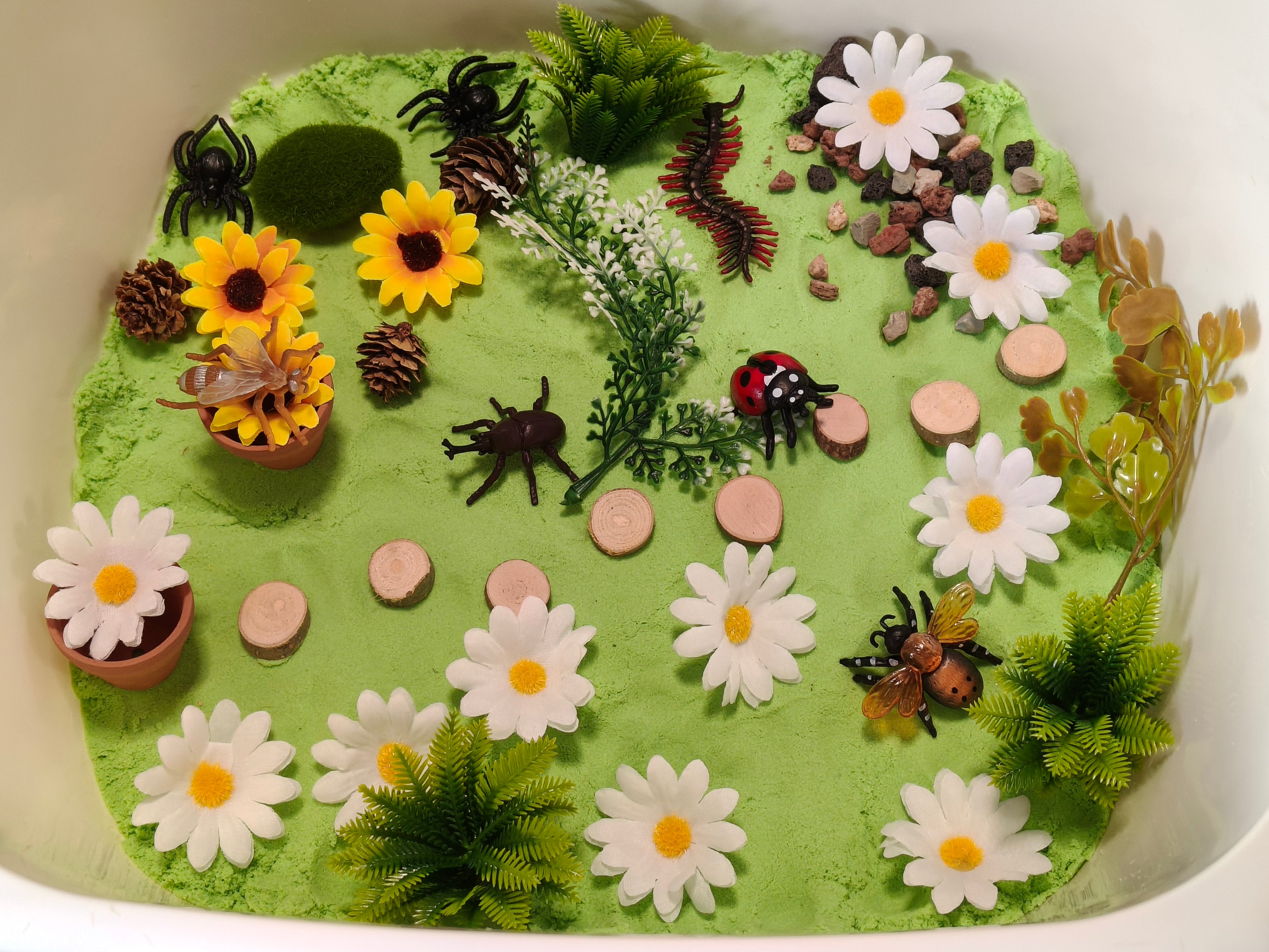Tuff Tray Kit - Bug Garden