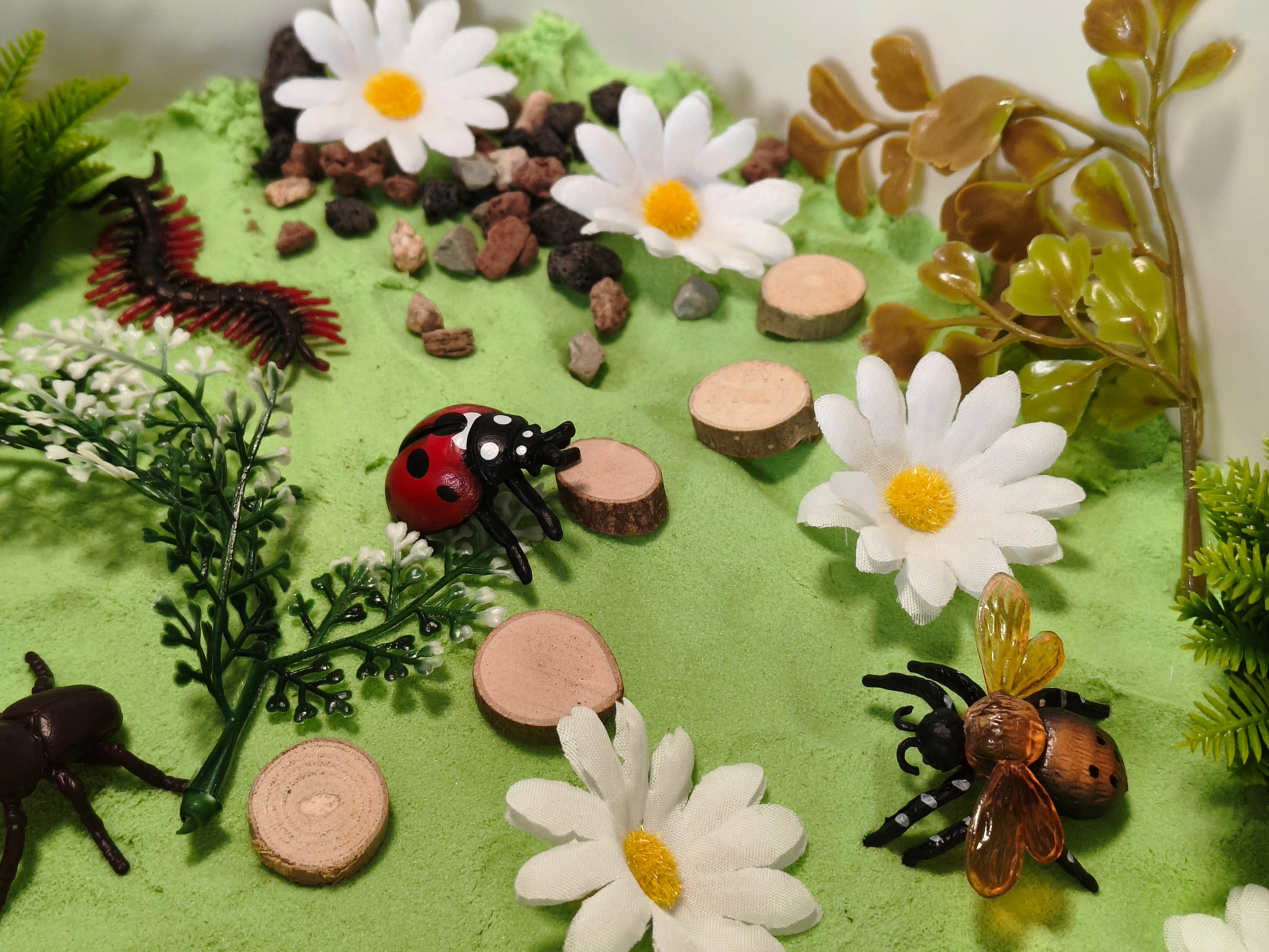 Tuff Tray Kit - Bug Garden