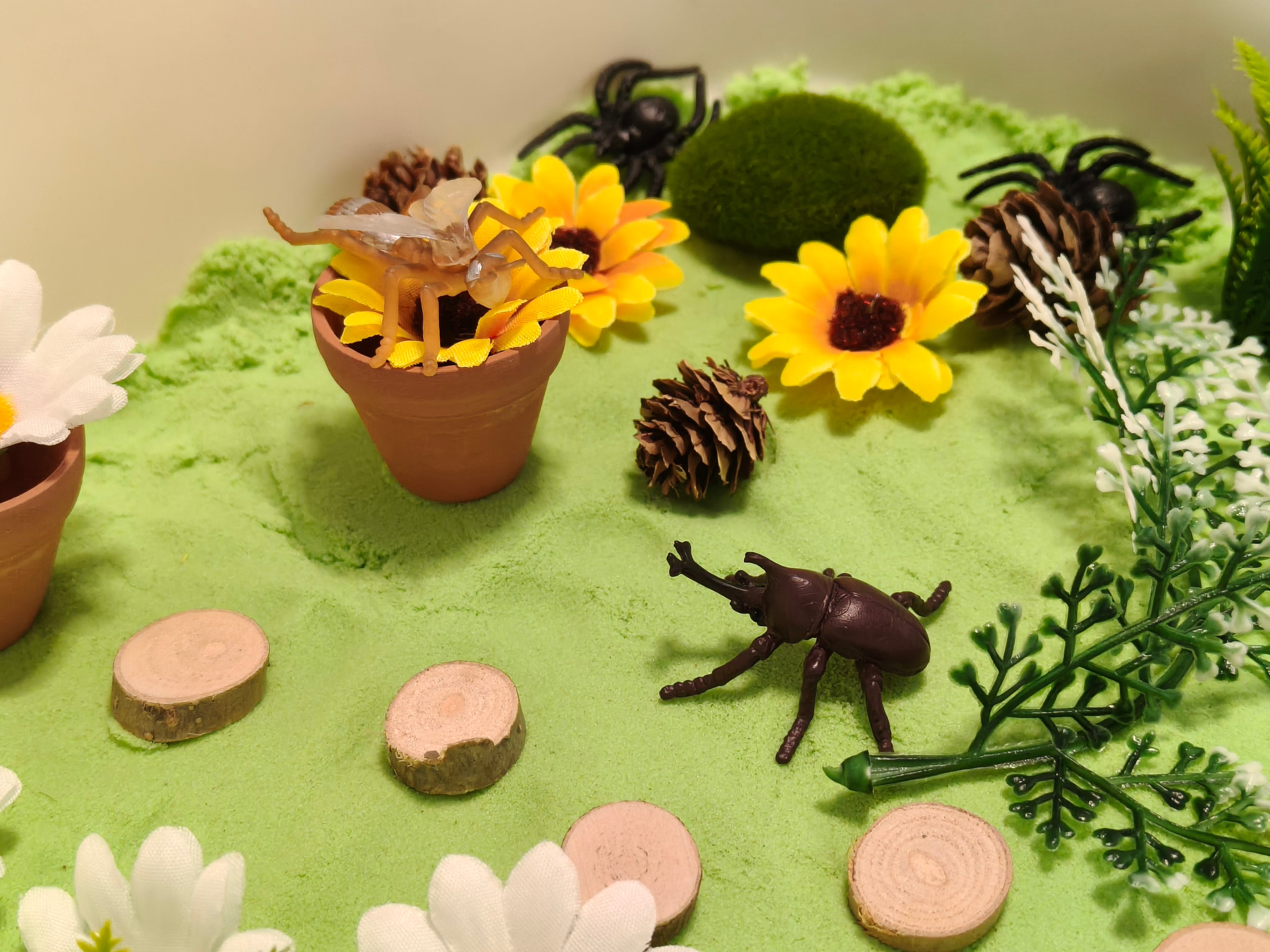 Tuff Tray Kit - Bug Garden