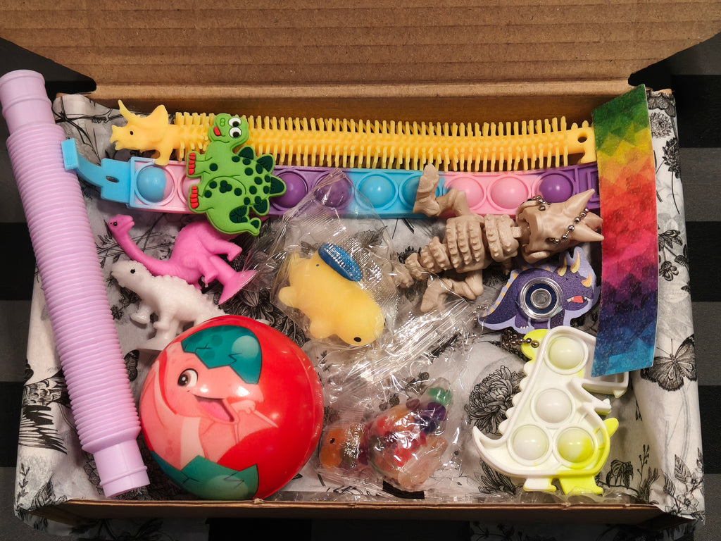Fidget Box - Dinosaur
