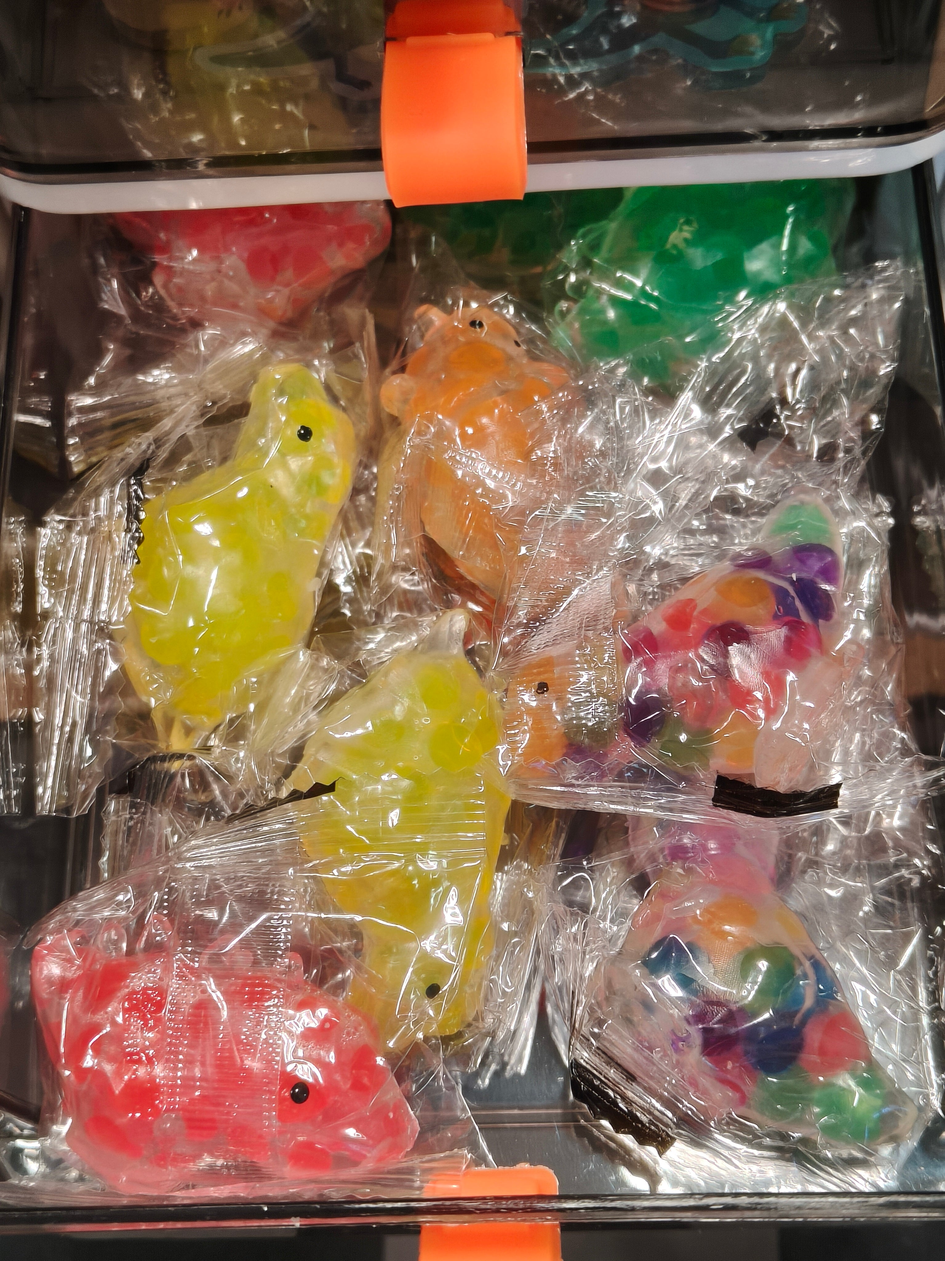 Fidget Box - Dinosaur