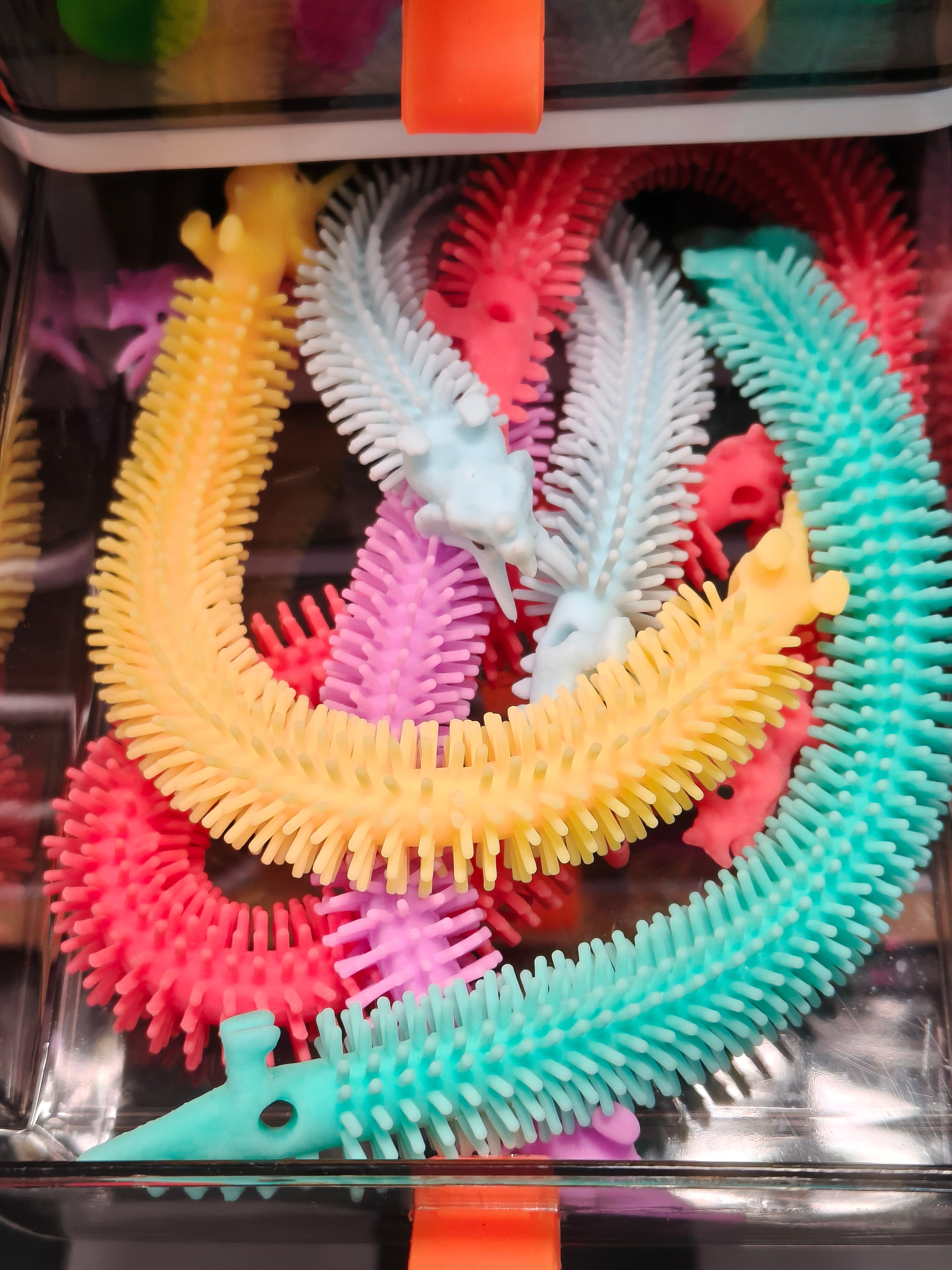 Fidget Box - Dinosaur