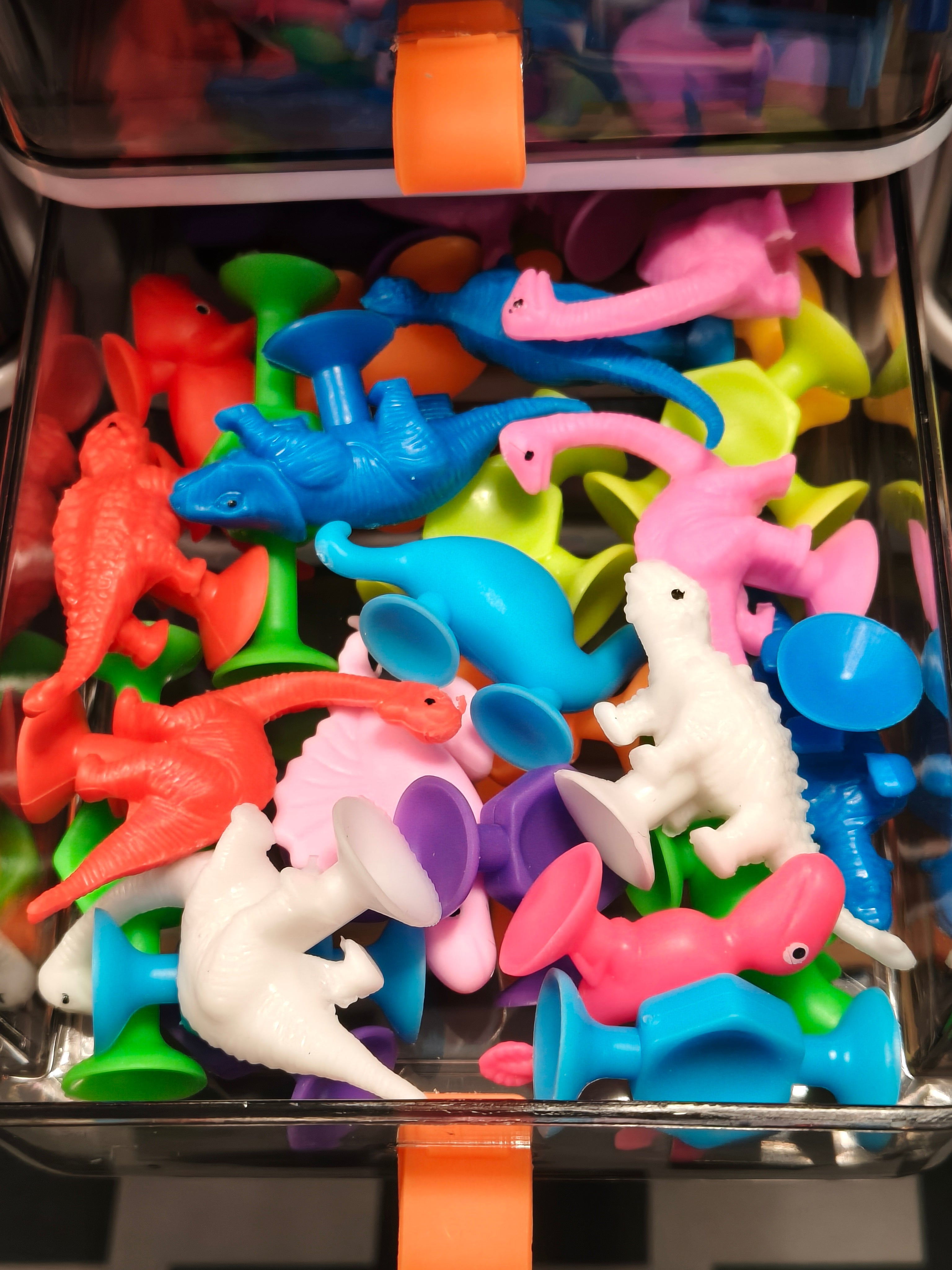 Fidget Box - Dinosaur