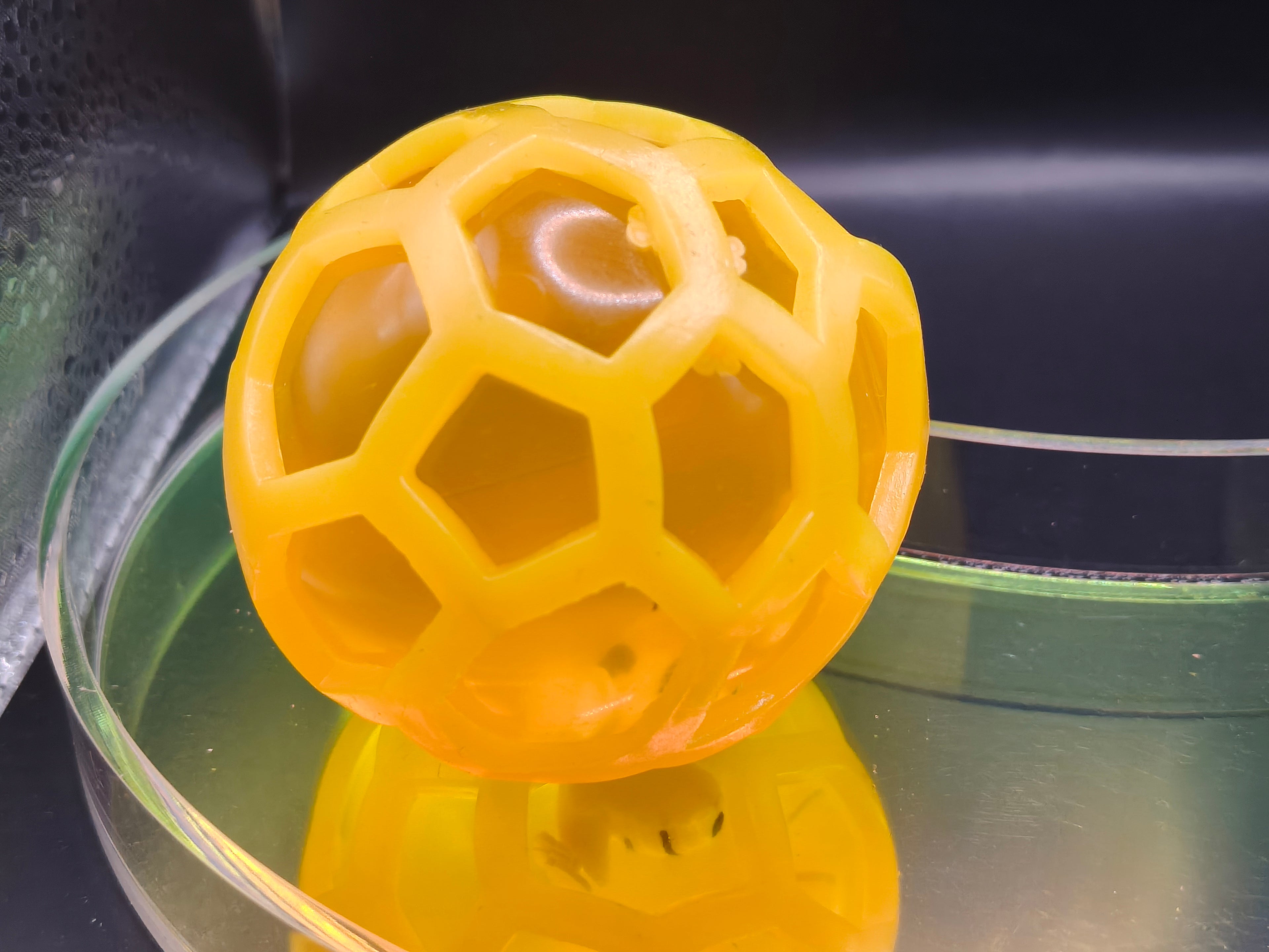 Honey Bee Squish Ball