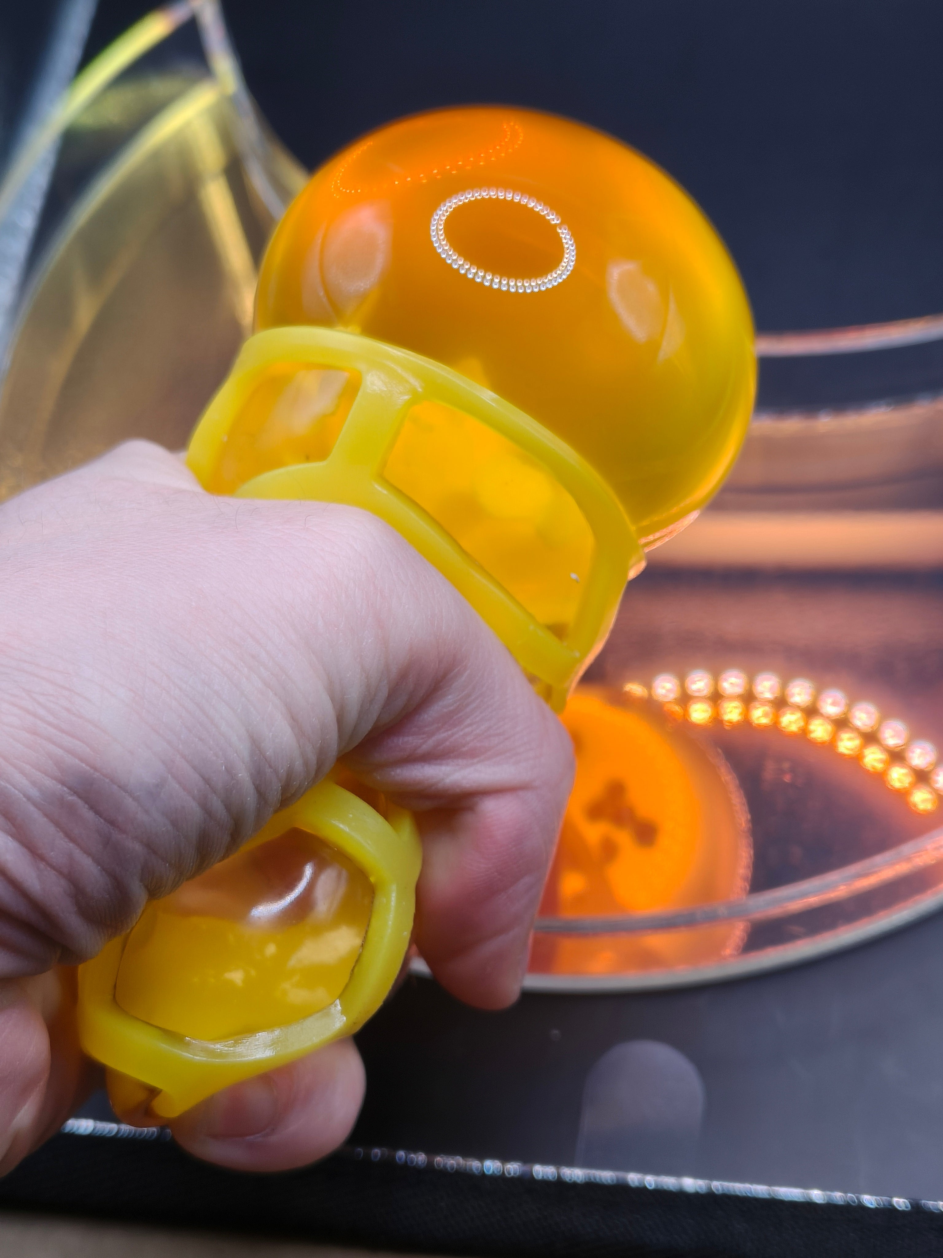 Honey Bee Squish Ball