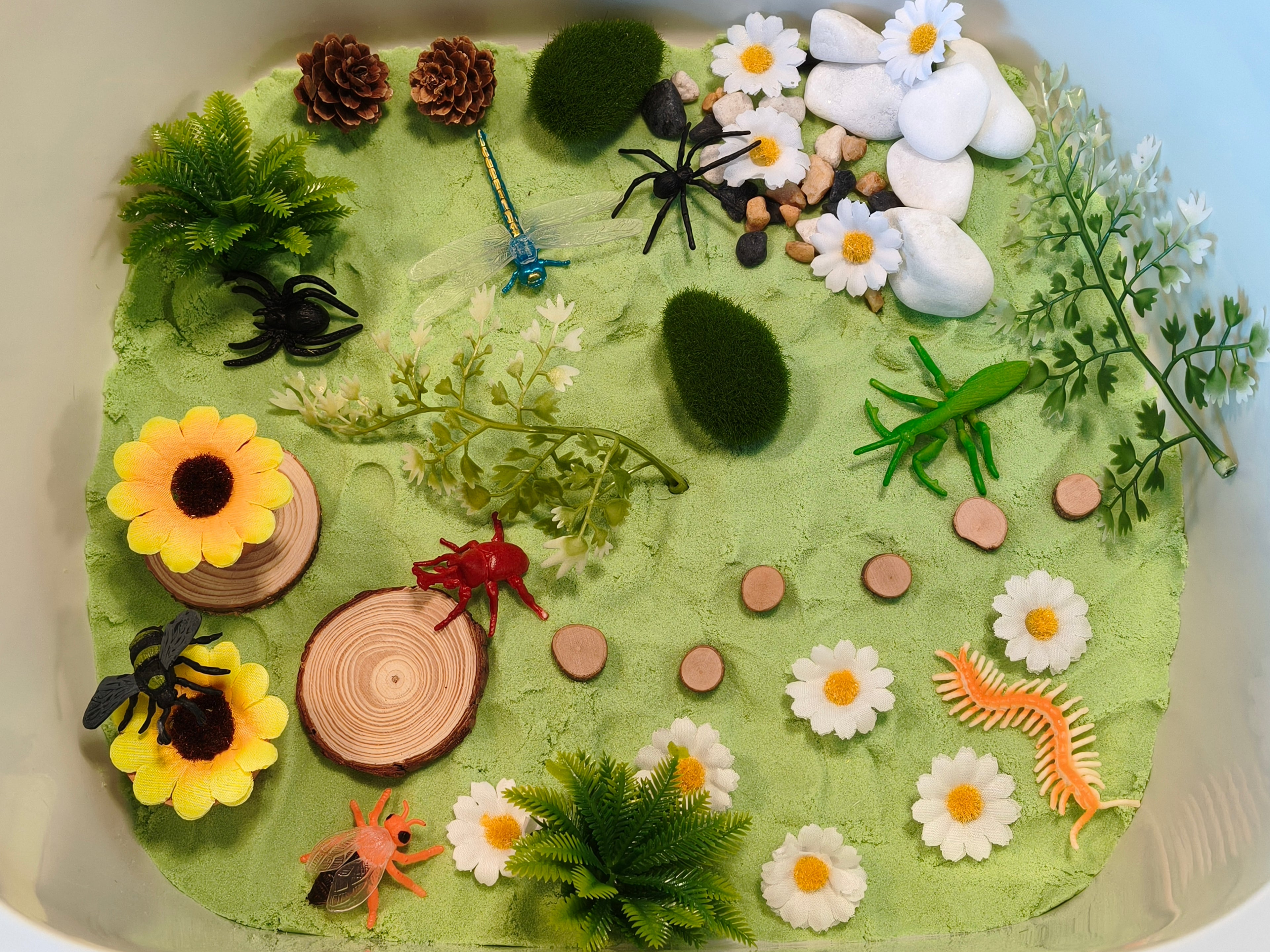 Tuff Tray Kit - Bug Garden