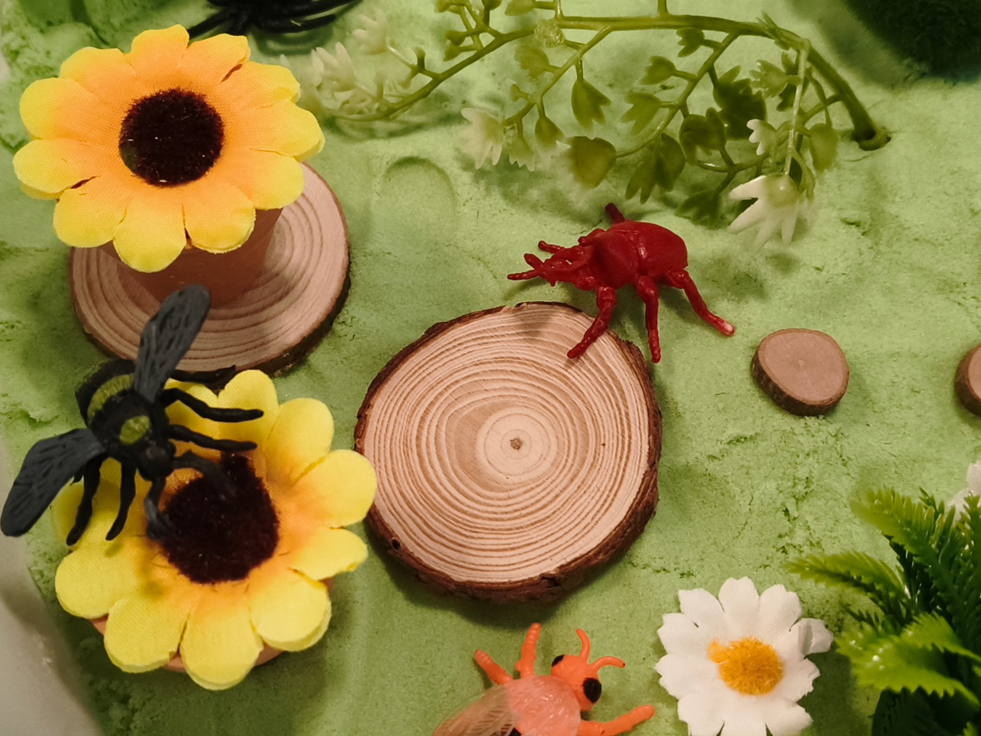 Tuff Tray Kit - Bug Garden