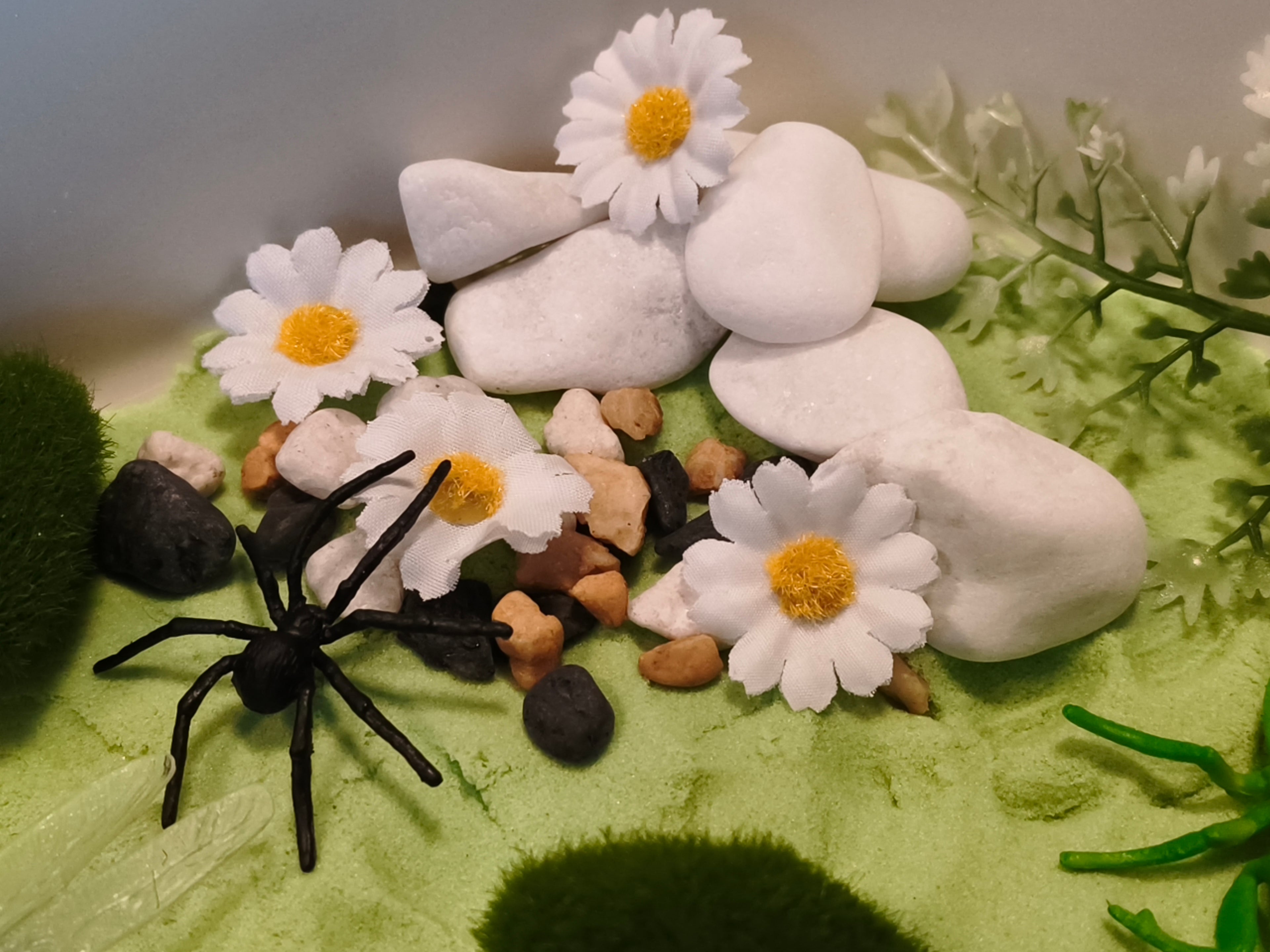 Tuff Tray Kit - Bug Garden