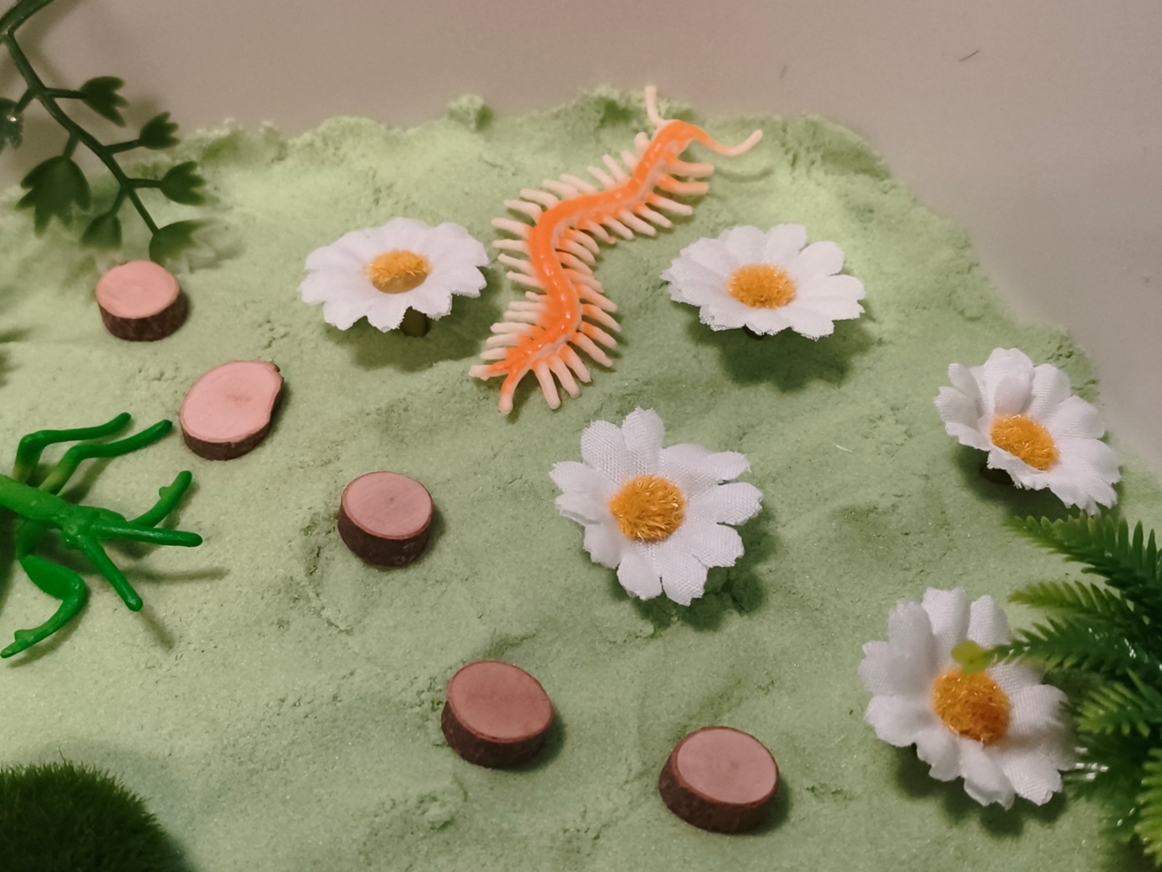 Tuff Tray Kit - Bug Garden