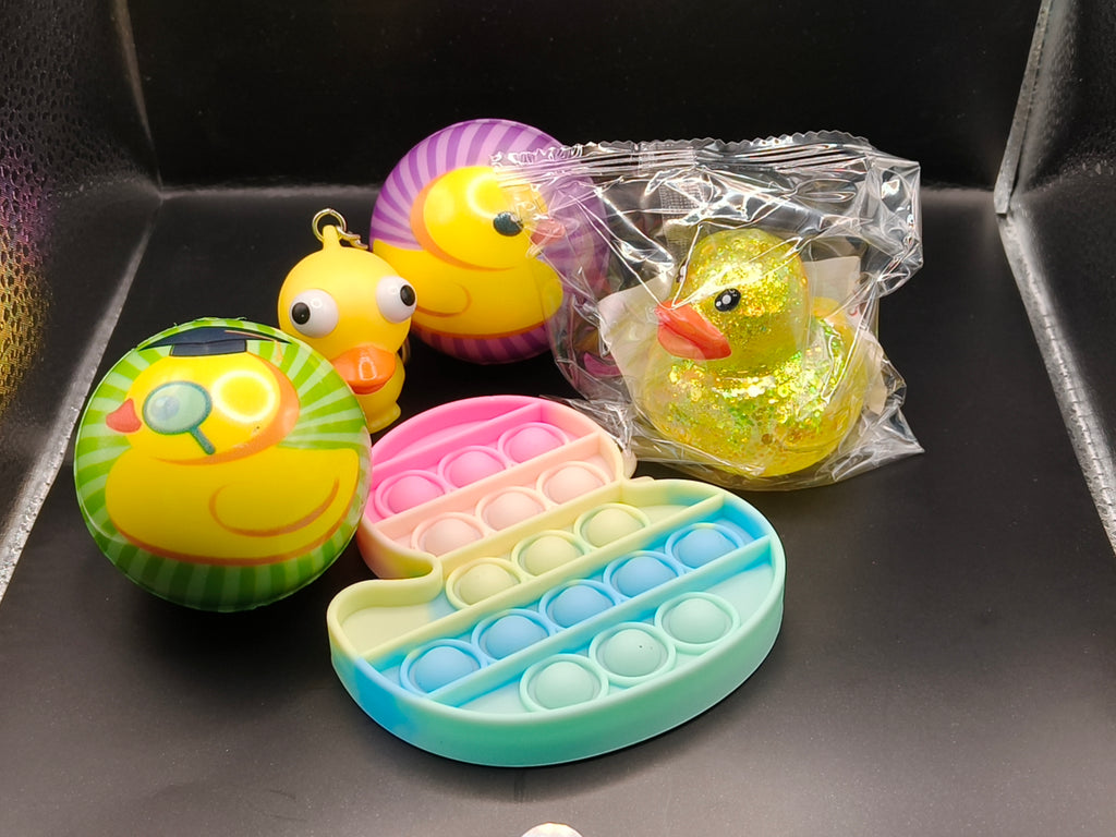 Duck Fidget Set