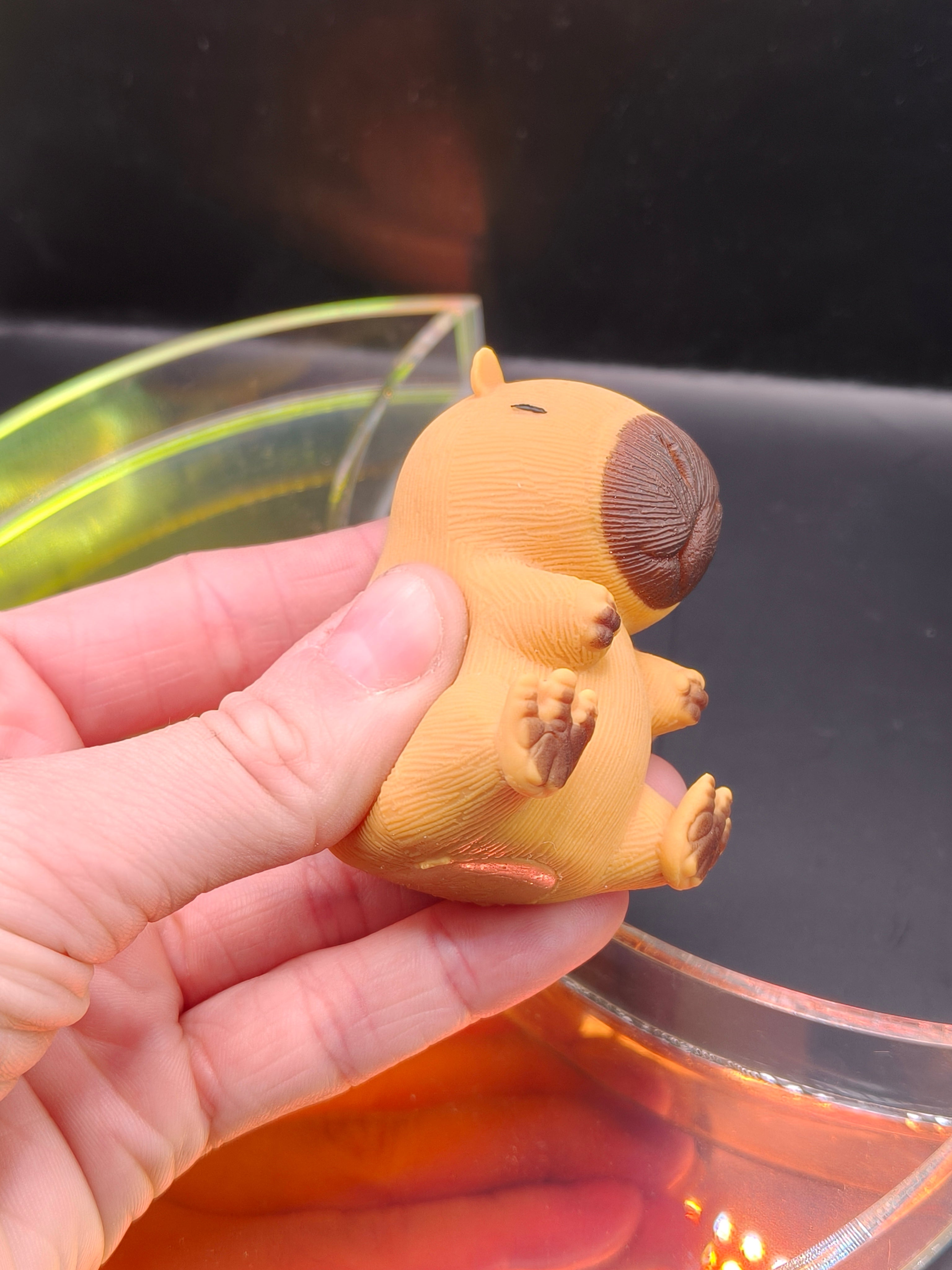Sand Filled Capybara