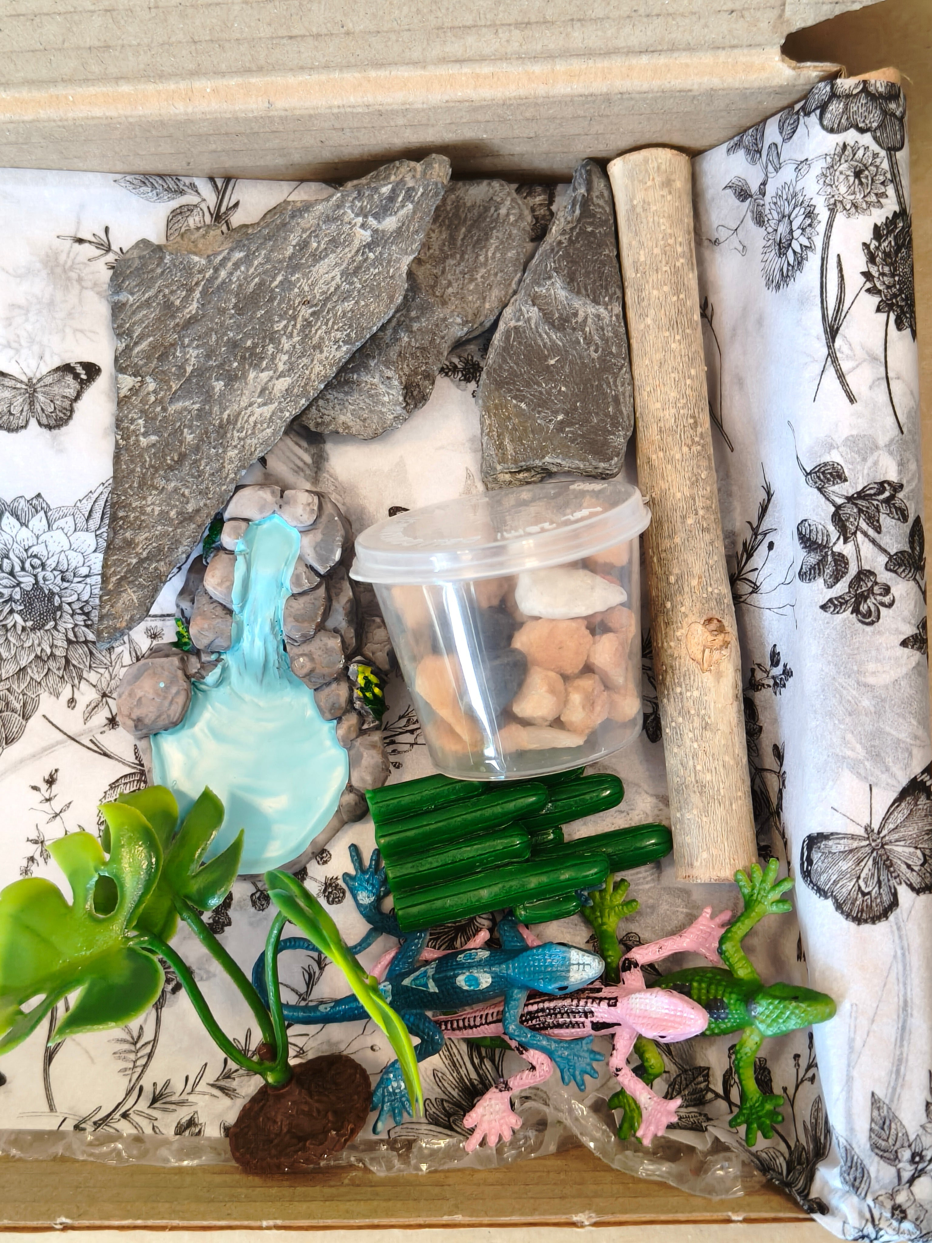 Terrarium Tuff Tray Kit