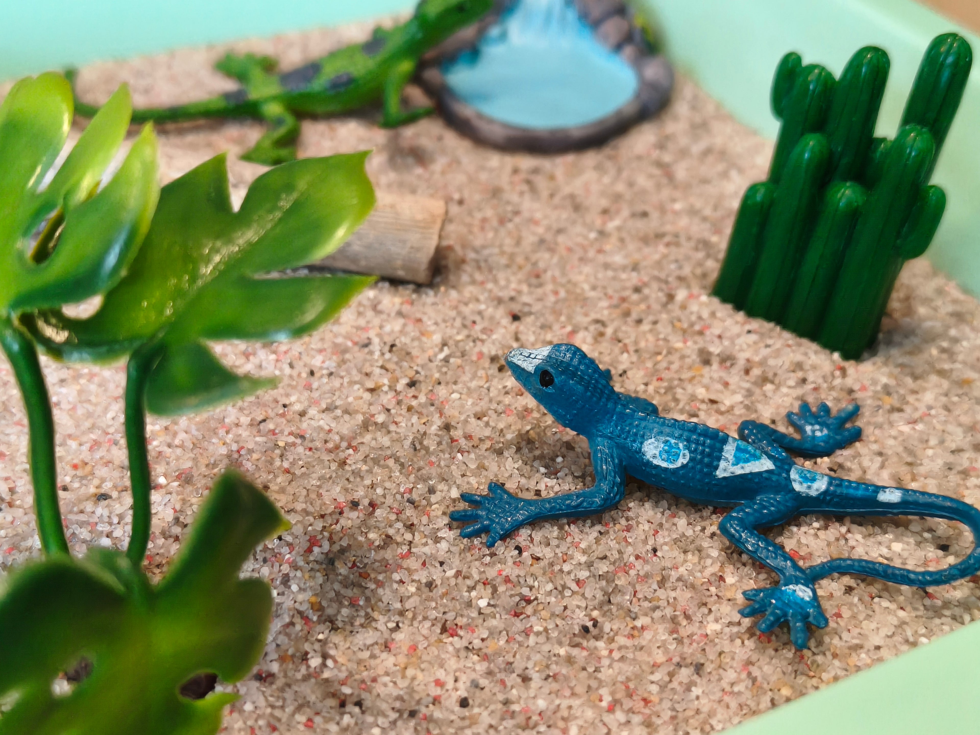 Terrarium Tuff Tray Kit